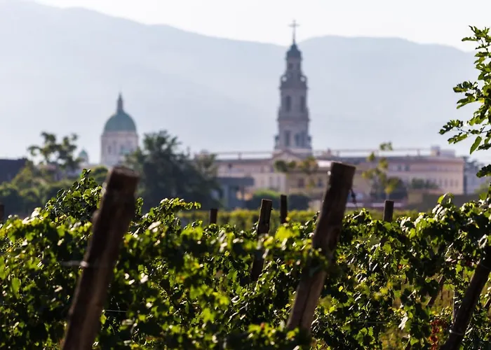 Otel & Winery Bosco De Medici Pompei