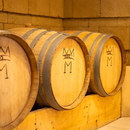 & Winery Bosco De Medici 4*