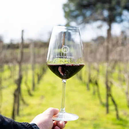 & Winery Bosco De Medici 4*