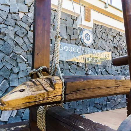 Resort & Winery Bosco De Medici 4* Pompei