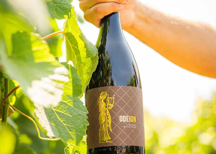 & Winery Bosco De Medici 4* 폼페이