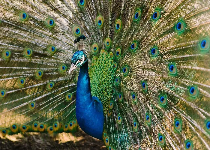 & Winery Bosco De Medici 호텔 4*