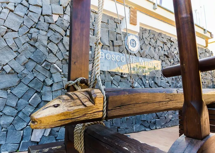 & Winery Bosco De Medici 4* 폼페이